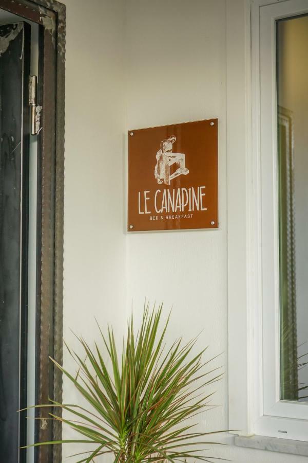 B&B Le Canapine Frattamaggiore Eksteriør bilde